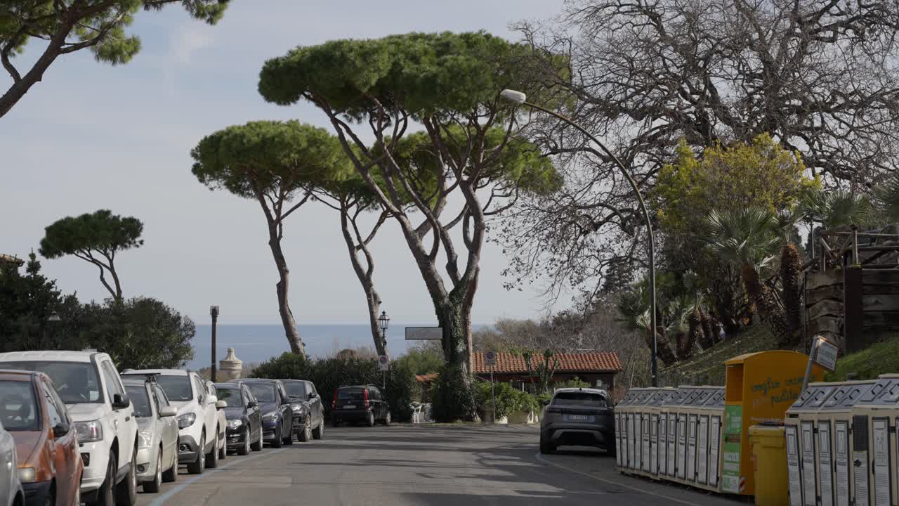 Full shot, Scenic view of a tall tree in the middle of the road in San Felice Circeo italy, car's park on the side of the road.
