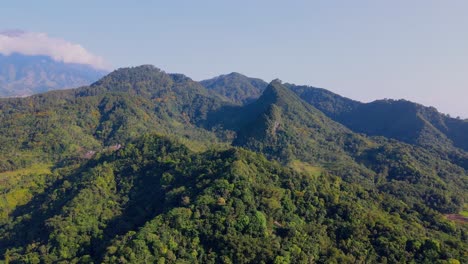 Aerial-Drone-View-Flight-over-pine-tree-forest-on-hills-in-the-morning-against-blue-sky