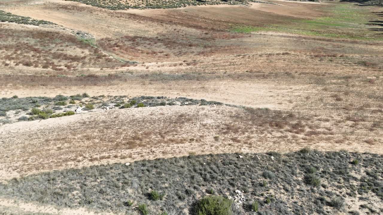 enorme cartel en forma de toro en españa, con la bandera española en su cabeza