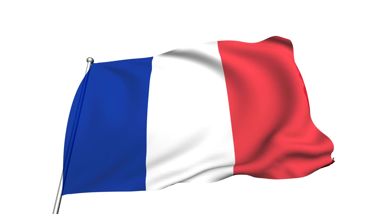 프랑스의 발 (반투명, 루프, 알파 채널)