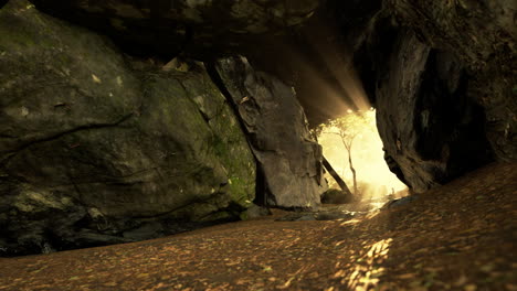 sunbeams streaming through a cave entrance in a forest