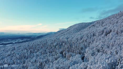 Atemberaubende-Drohnenaufnahmen-über-Einem-Schneebedeckten-Wald