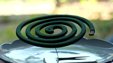 burning green mosquito coil in japanese house. summer season concept video.