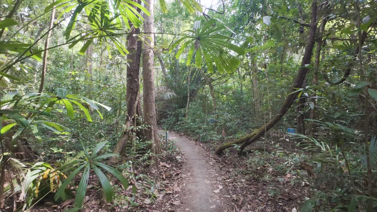 Hiking Trails Of Cat Tien National Park In Vietnam - POV
