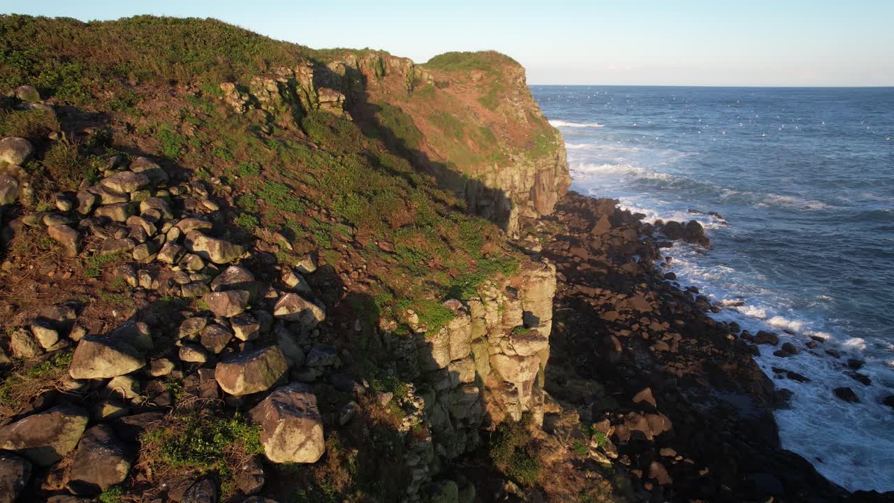 Seagulls Flying Over The Cook Island At Dusk In Fingal Head, NSW, Australia. - aerial pullback shot