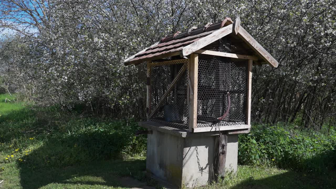 Rustic wooden water well in front of blooming spring trees