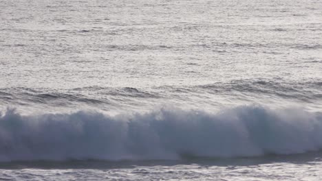 single male young surfer catching a wave and surfing the wave, wide shot