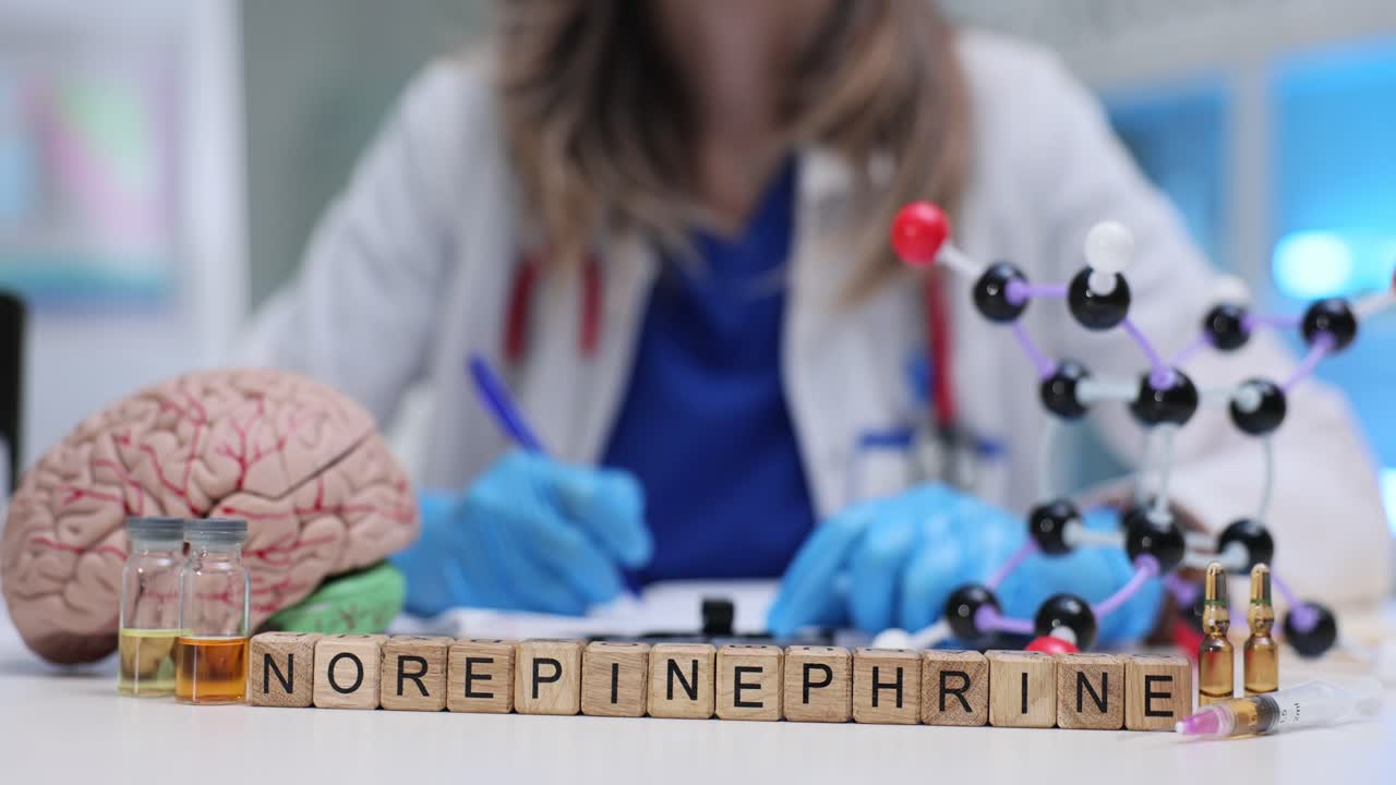 Medical professional studying norepinephrine with brain model and chemical compounds