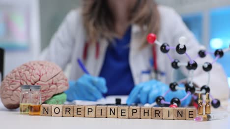 medical professional studying norepinephrine with brain model and chemical compounds