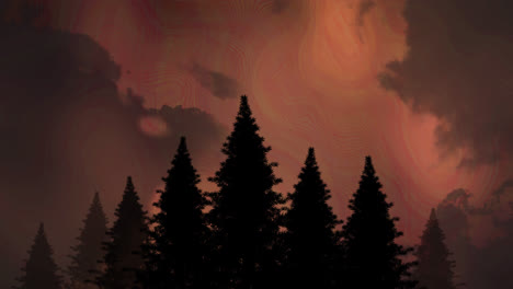 silhouette of pine trees and lightning