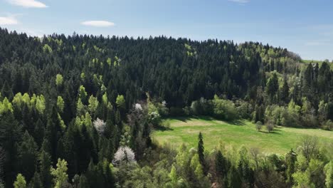 aerial view of green forest and beskidy mountain nature landscape in spring