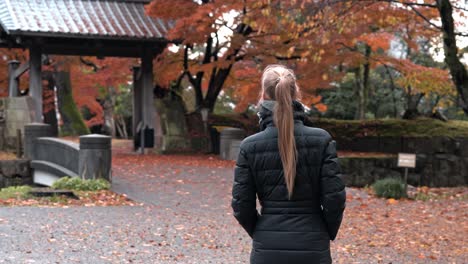 a woman strolls through a tranquil garden in kanazawa, japan, surrounded by vibrant red autumn foliage.
