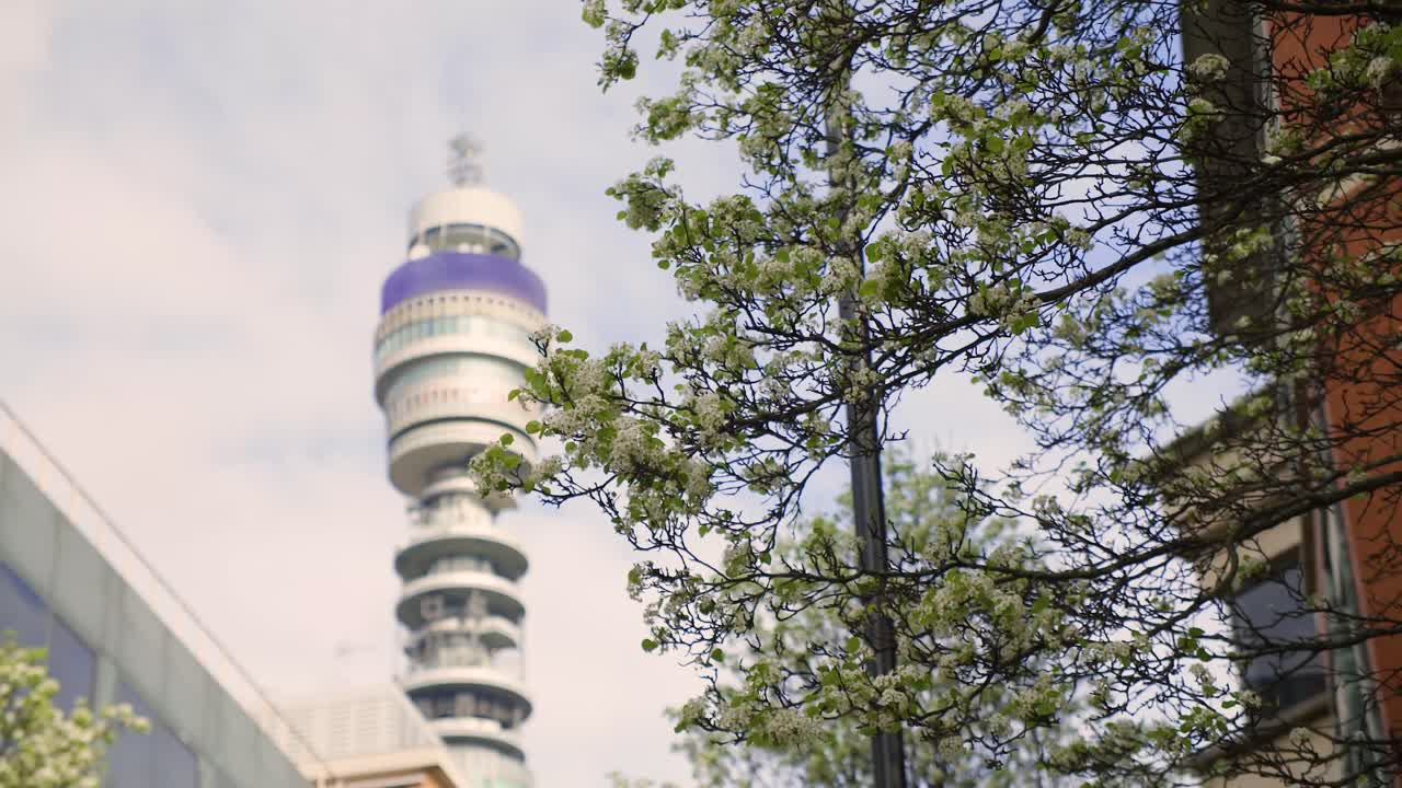torre bt en londres con el follaje de los árboles en primer plano