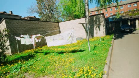 Laundry,-clothes-and-sheets-drying-above-yellow-flowers-during-spring-in-sunlight