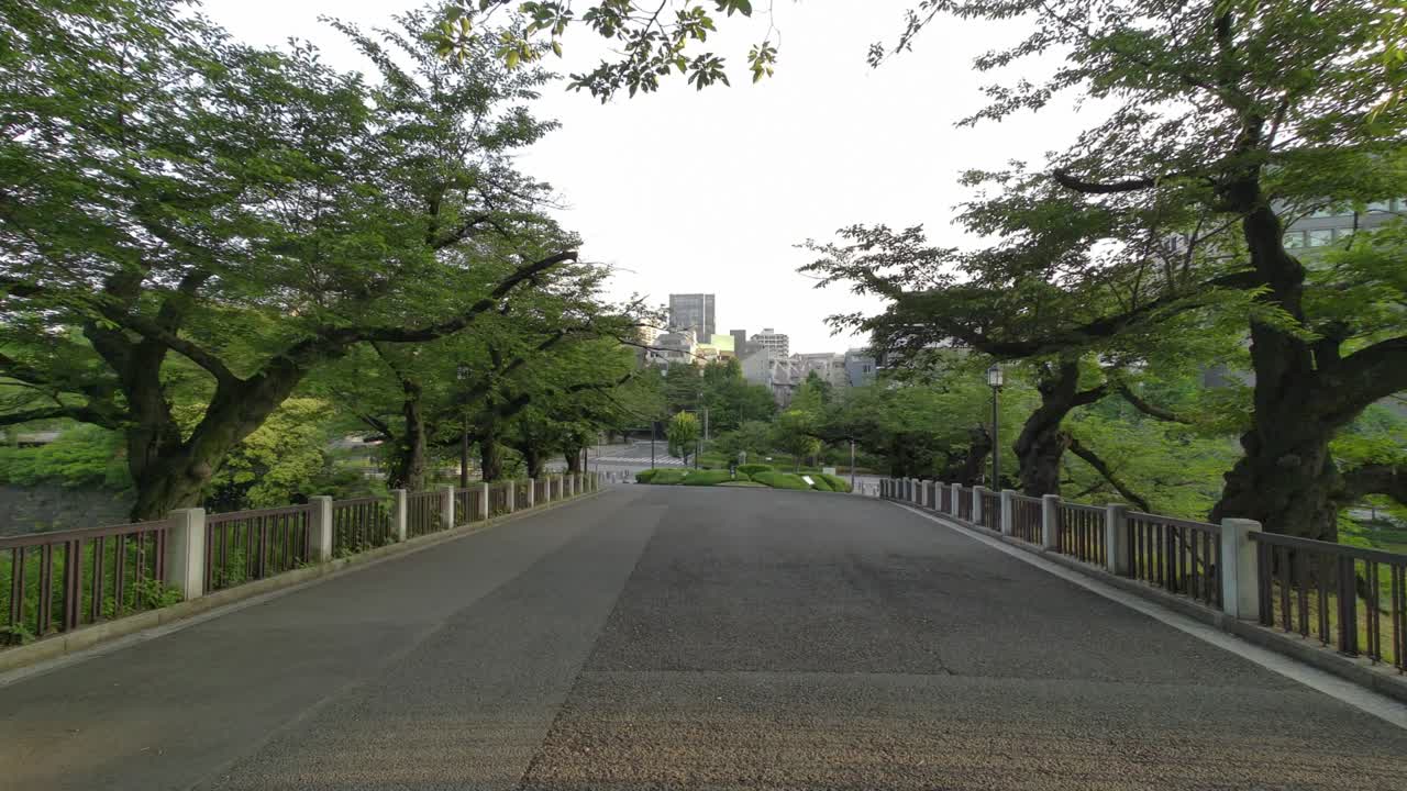 도쿄 치도리가푸치 (tokyo chidorigafuchi) 2022년