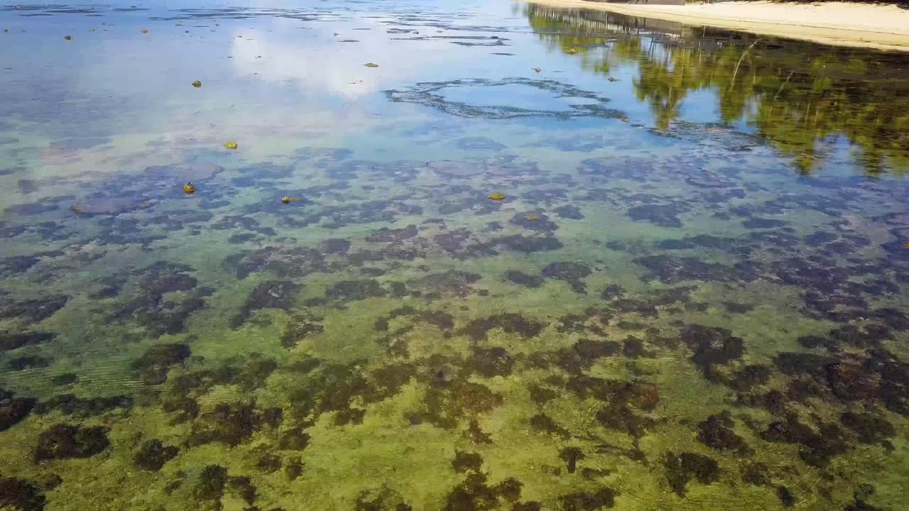 tomas de drones de suva y otras partes de las islas fiji, incluida la capital, las playas, los centros turísticos y la naturaleza, uhd-9