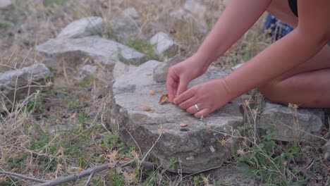 young woman cracking a fresh almond nut on a rock with a stone and eat it raw