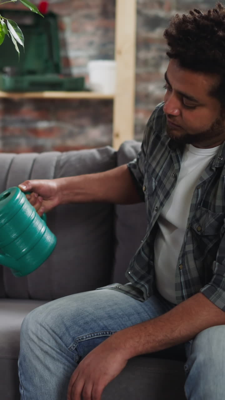 Tranquil black man waters high ficus tree with can sitting on sofa in living room. African-American guy has relaxing hobby. Exotic houseplant in interior