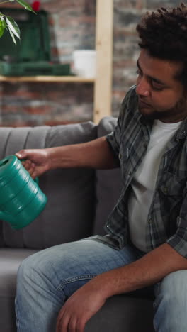 tranquil black man waters high ficus tree with can sitting on sofa in living room. african-american guy has relaxing hobby. exotic houseplant in interior