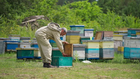 apiarist examines the honeycomb frames in his apiary. male beekeeper shakes off the insects from the frame. green trees at the background.