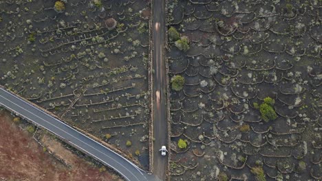 White-car-parked-with-open-door-on-black-street-Best-aerial-view-flight-Lanzarote-volcano-lava-field-agriculture-ash,-cloudy-day-2023