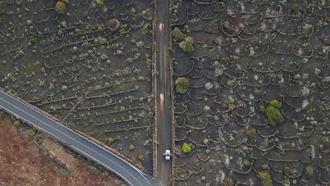 white car parked with open door on black street best aerial view flight lanzarote volcano lava field agriculture ash, cloudy day 2023