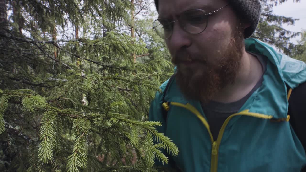 escena de un bosque lluvioso