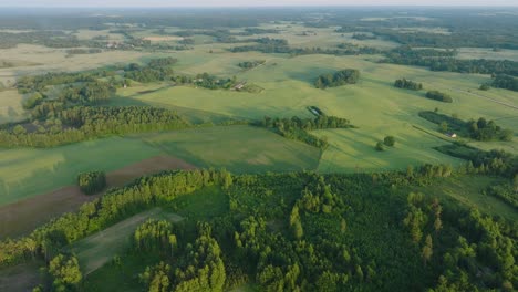 Vista-Aérea-De-Establecimiento-De-Campos-De-Cereales-Maduros-Al-Atardecer,-Agricultura-Orgánica,-Paisaje-Rural,-Producción-De-Alimentos,-Bosques,-Hermosa-Puesta-De-Sol-De-Hora-Dorada,-Disparo-De-Drones-Avanzando-Inclinado-Hacia-Abajo