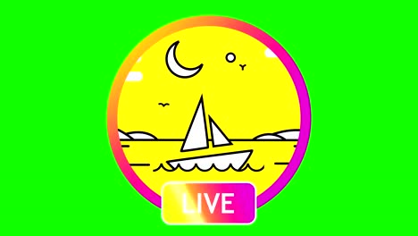 on a green background, a bright pink round frame, with the inscription below- LIVE. inside frame video animation