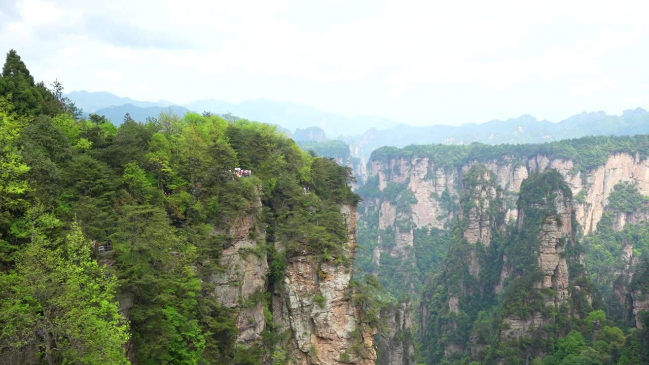 Vista maestosa di pilastri carsici e foreste verdi nel Parco Forestale Nazionale di Zhangjiajie, provincia di Hunan.