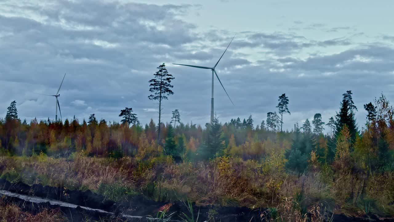 Low-angle shot of wind turbines rising over mist-covered autumn forest and bog