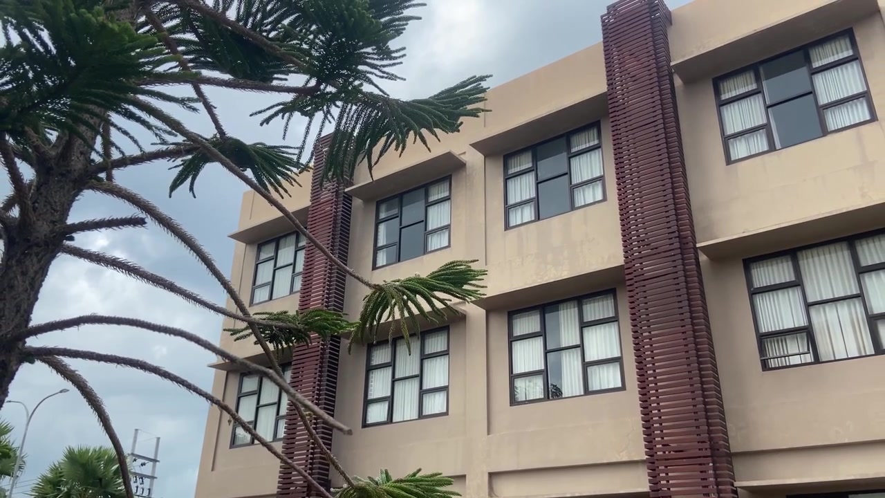 Panorámica ascendente en ángulo bajo de un edificio moderno con un árbol grande