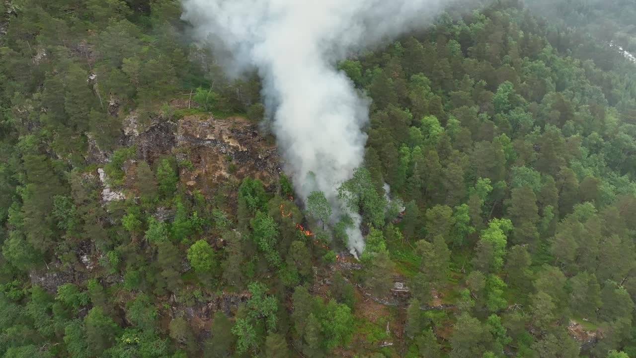 vista aérea de un incendio forestal que acaba de comenzar en una ladera empinada - bosque verde exuberante en llamas debido a la sequía a largo plazo - humo que se vierte en el aire