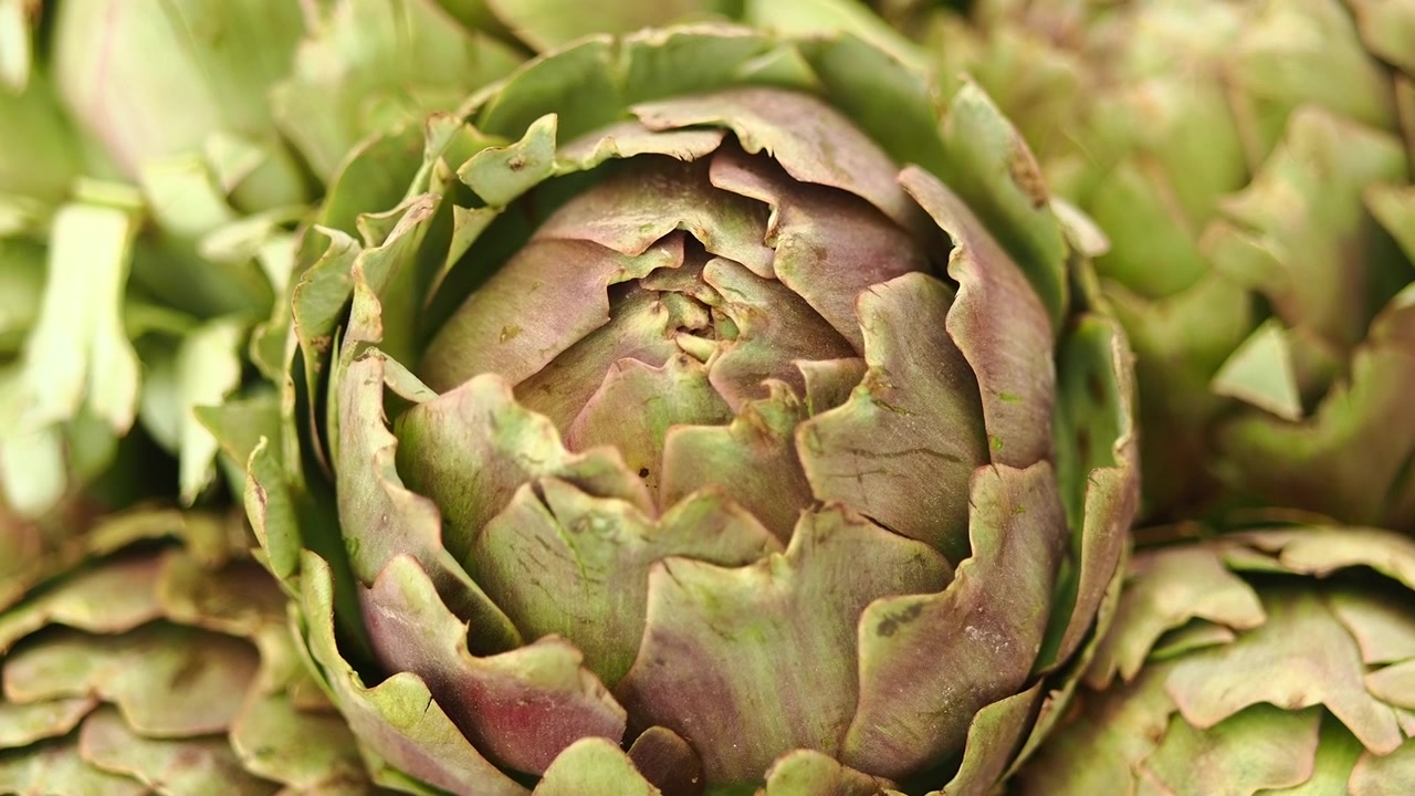 Primo piano di carciofi freschi verdi e viola.