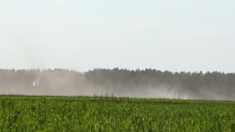 sandstorm in the field - wind erosion of the top layer of fruitful soil. dust storm in the field. demolishes the fertile layer of black soil and crops. high quality 4k footage