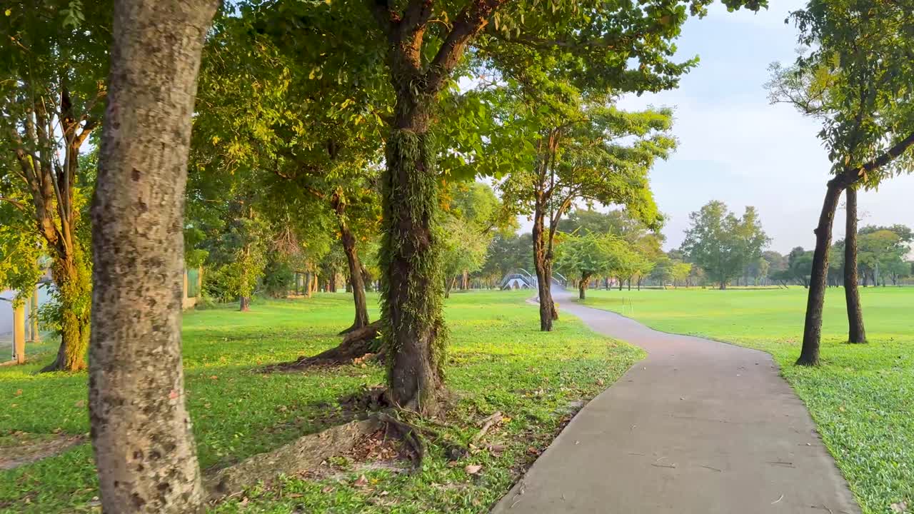 un camino pacífico rodeado de exuberante vegetación