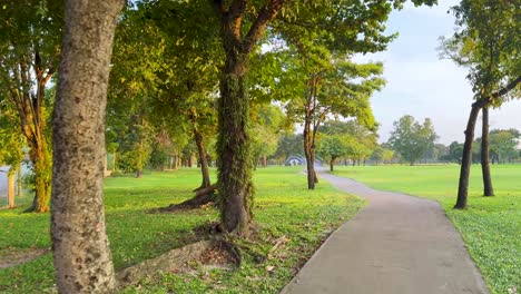 peaceful pathway surrounded by lush greenery