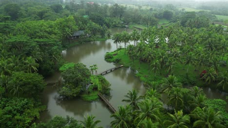 pulling away from the lake in laguna, the shot reveals a vast stretch of trees, showcasing the lush forest landscape surrounding the peaceful waters