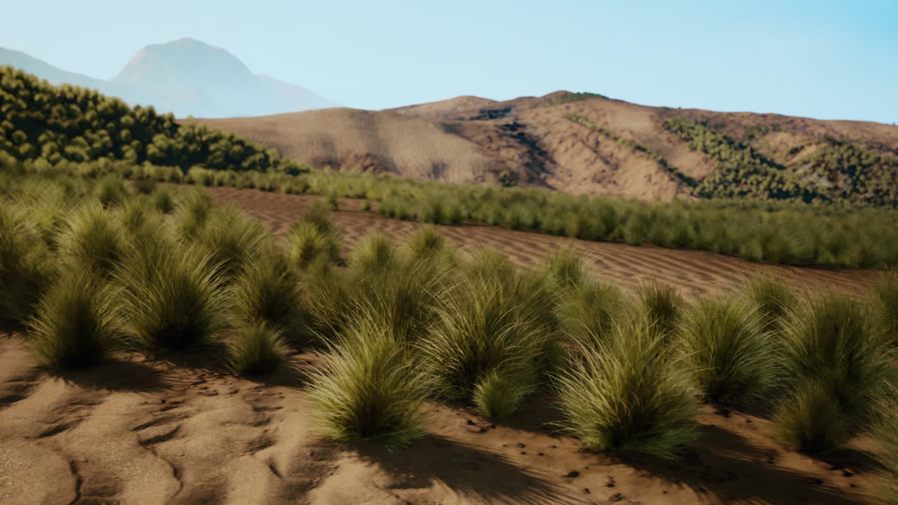 un paisaje sereno con montañas y un campo exuberante de hierba