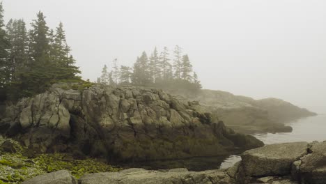 flying over rocky foggy coastal shoreline western head preserve, maine