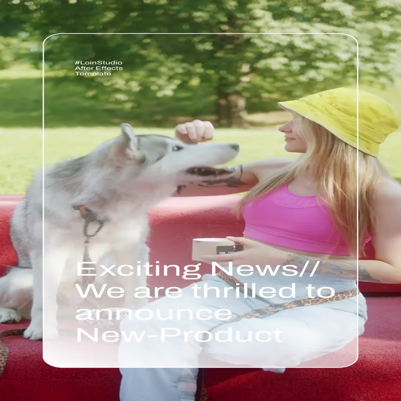 Social Media Story After Effect