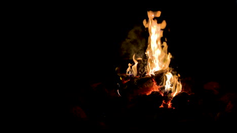 campfire at the forest with soft glowing flame on a calm summer evening