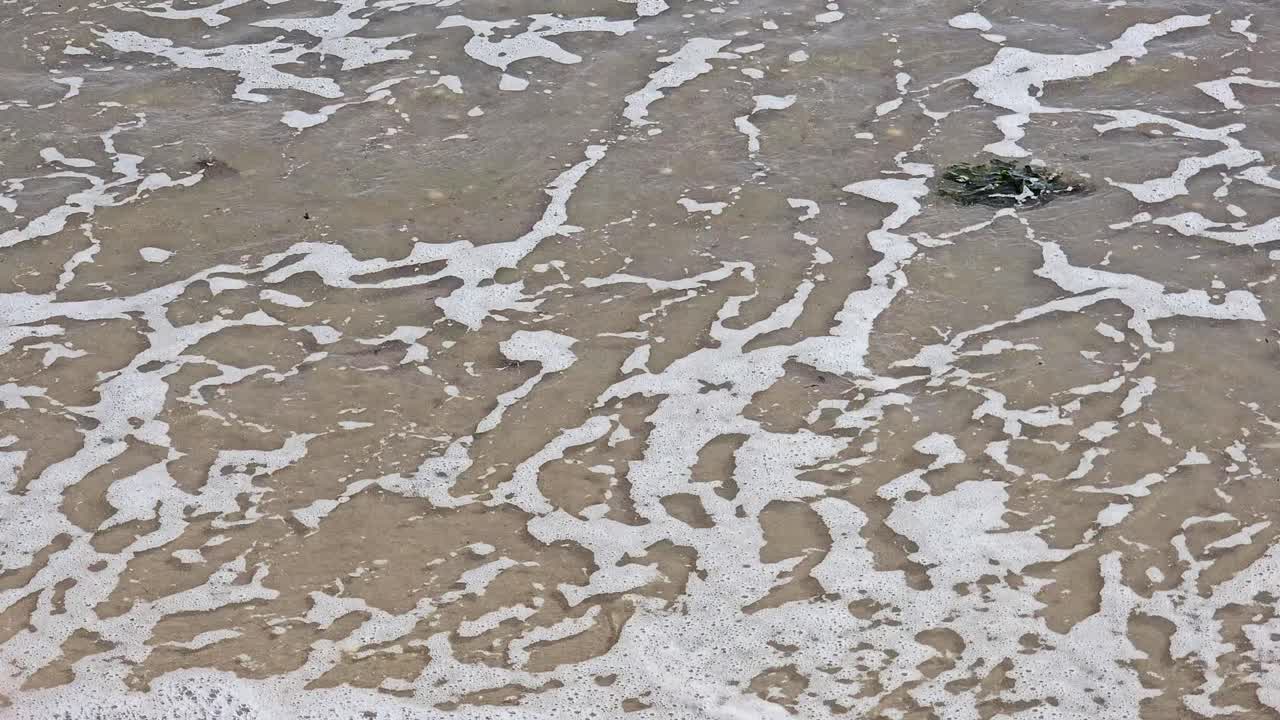 Spruzzi di mare bianchi sulla spiaggia: Primo piano dell'acqua spumeggiante dell'onda sulla sabbia chiara.