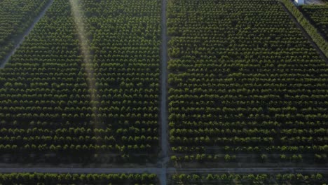 vistas de drones de los huertos de cerezos en cromwell, otago, nueva zelanda