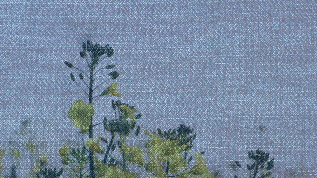 animación de denim sobre flores y hierba en movimiento