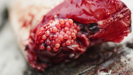 cutting, cleaning, and gutting a wild salmon with a knife