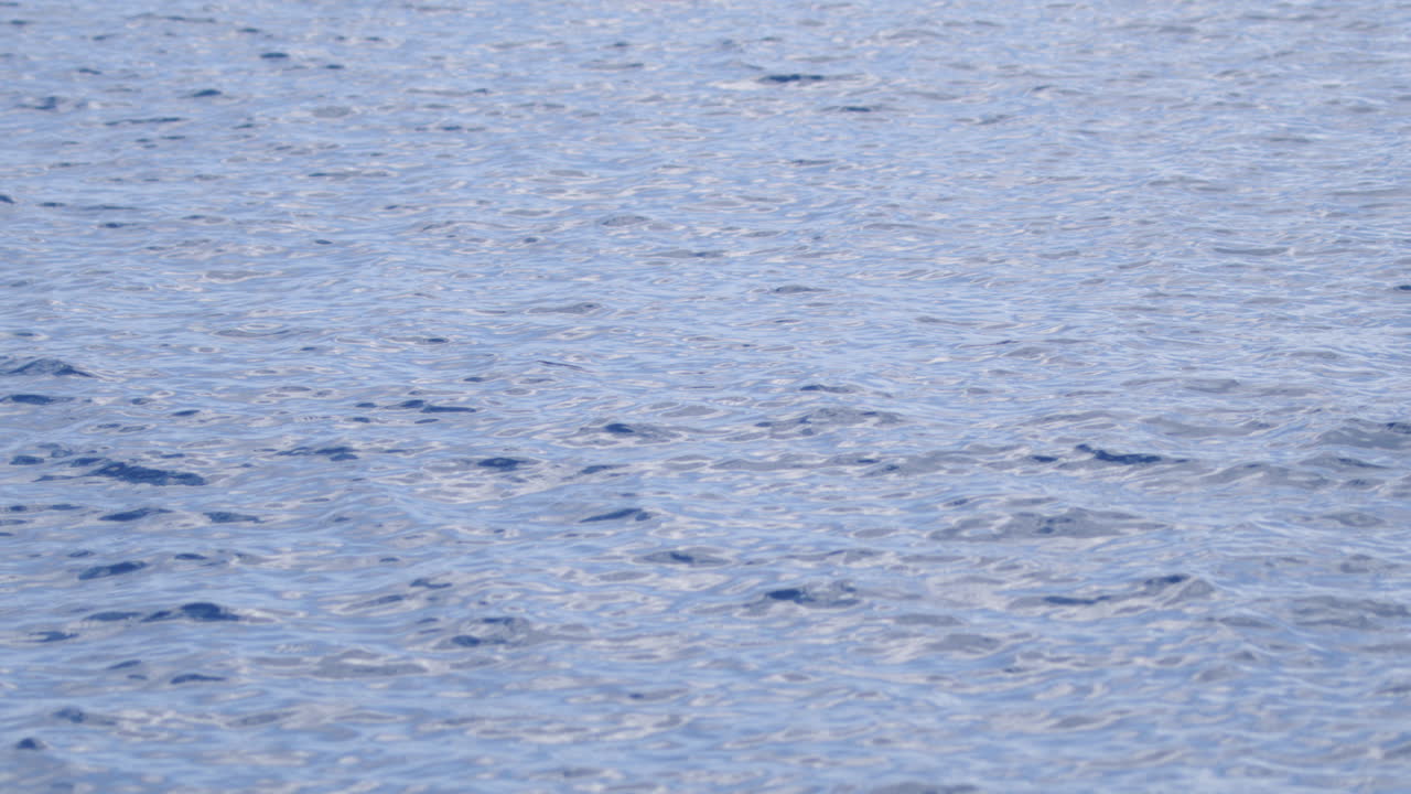 Light blue ocean surface rippling in soft sunlight with subtle wave movement