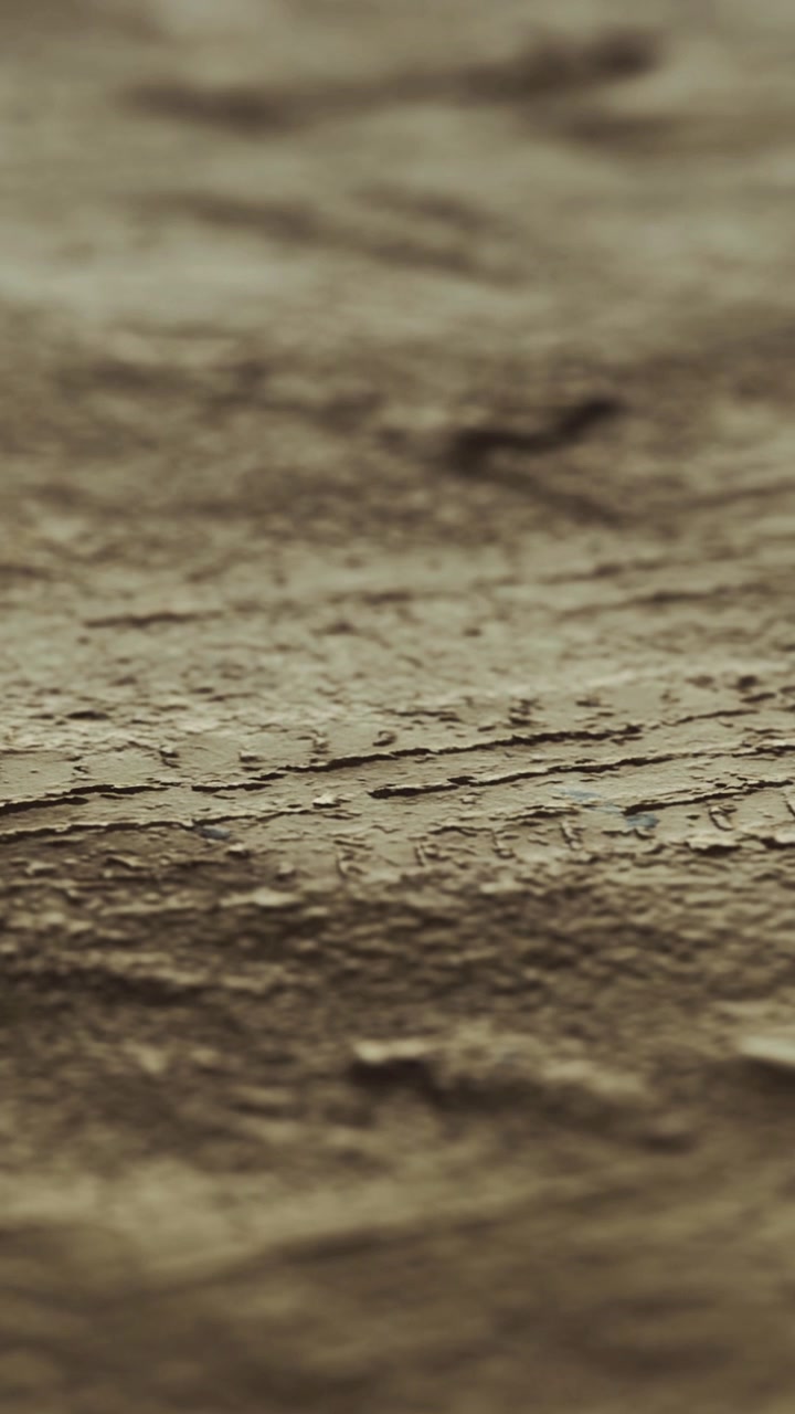 Texture of a rough surface showing marks and patterns in natural light
