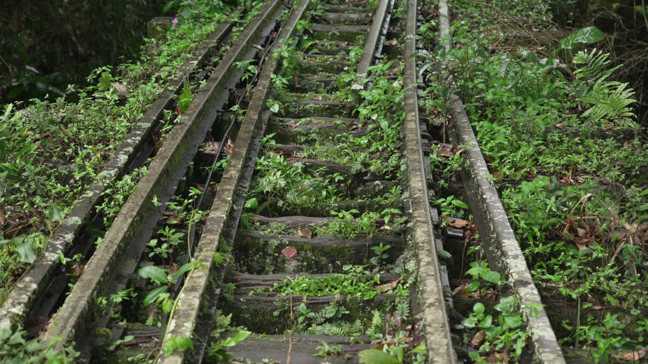 Abandoned rail tracks reclaimed by tropical jungle reclaimed by nature