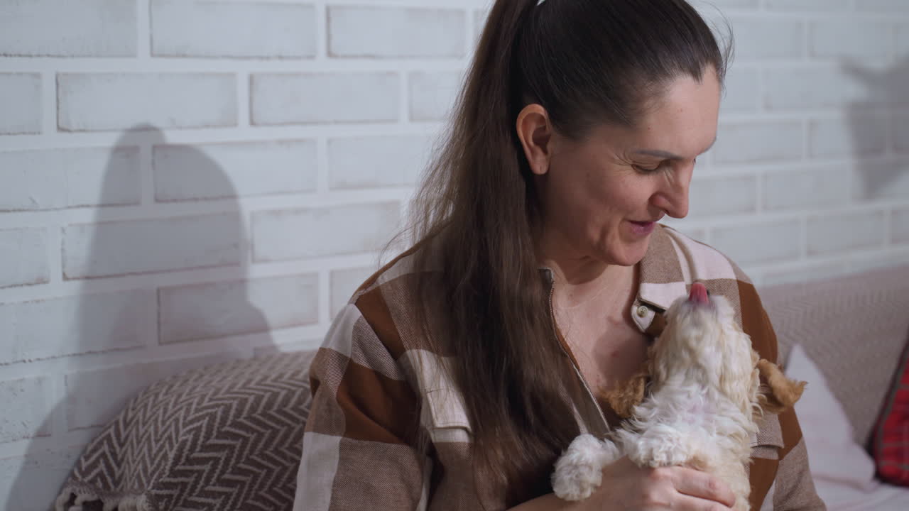 Cheerful owner playing with poodle puppy on sofa full of warmth and affection in cozy interior surrounded by leafy plants and soft cushions capturing intimate bonding moment and gentle care ritual